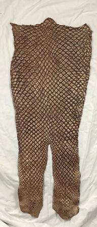 Mustang Champagne Brush Off - Inverted Scales