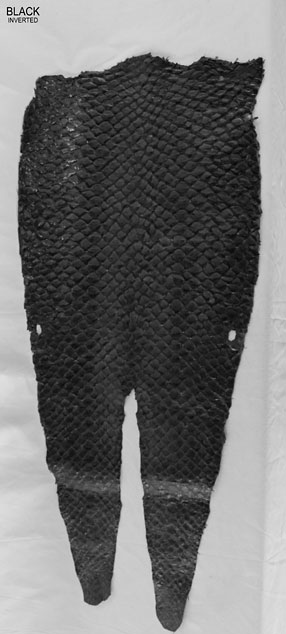 Black - Inverted Scales