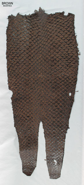 Brown - Inverted Scales