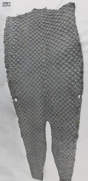 Grey - Inverted Scales