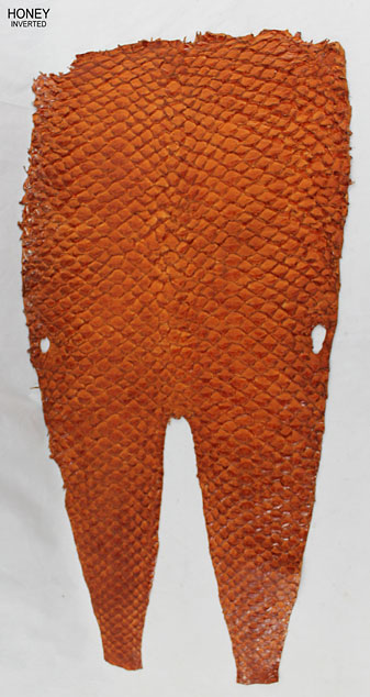 Honey - Inverted Scales