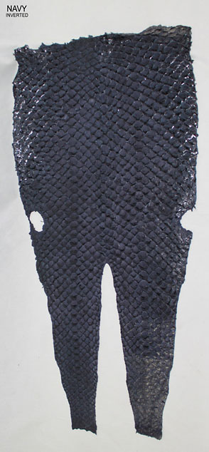 Navy - Inverted Scales