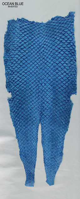 Ocean Blue - Inverted Scales