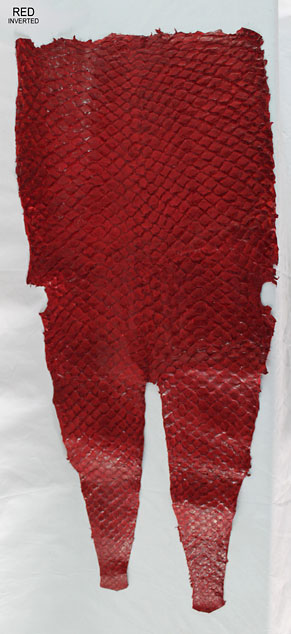 Red - Inverted Scales