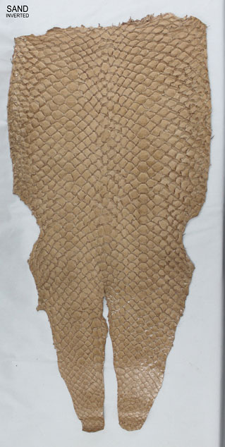 Sand - Inverted Scales