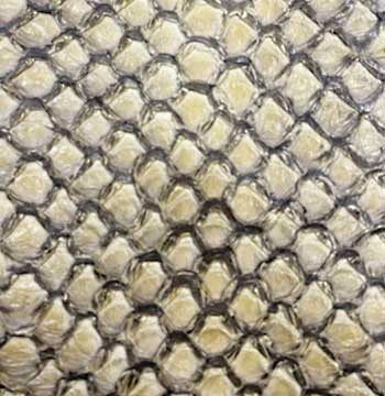 Fendi Mink - Wild Skins