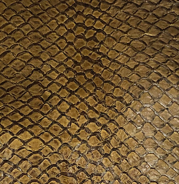 Tapenade Chestnut - Wild Skins