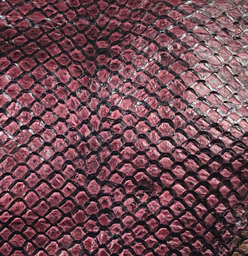 Wine Cabernet - Wild Skins